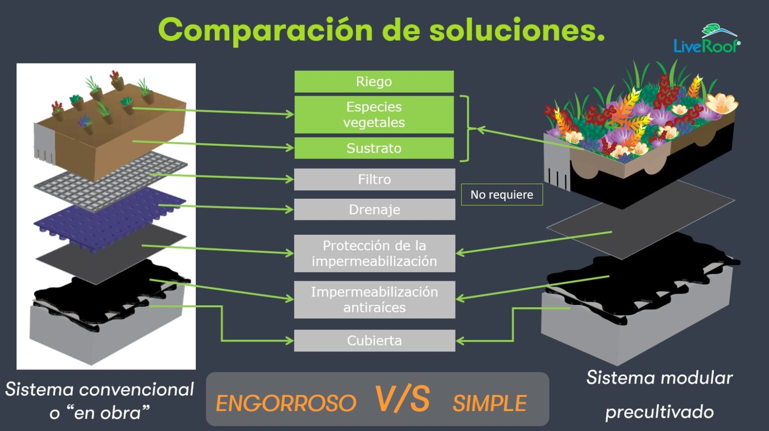 Qué son los techos verdes Tipos y técnicas constructivas