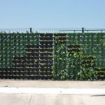 Goodyear muros verdes