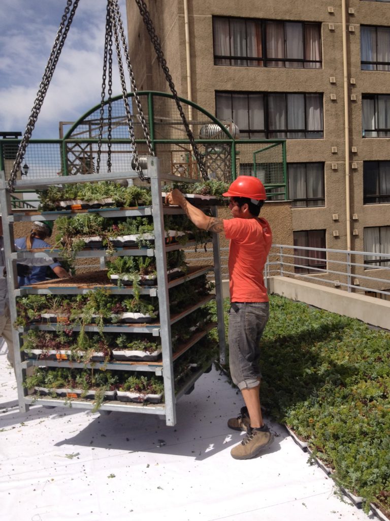 VerdeActivo: 10 años de compromiso con el desarrollo de los techos verdes en Chile