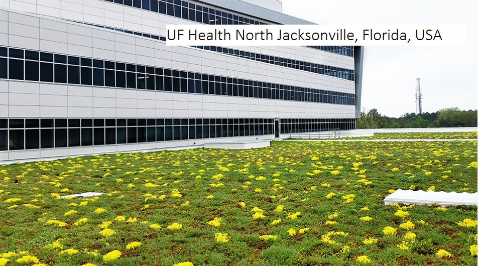 Aprendizajes de los techos verdes en hospitales: más de 20 años de experiencia en el mundo