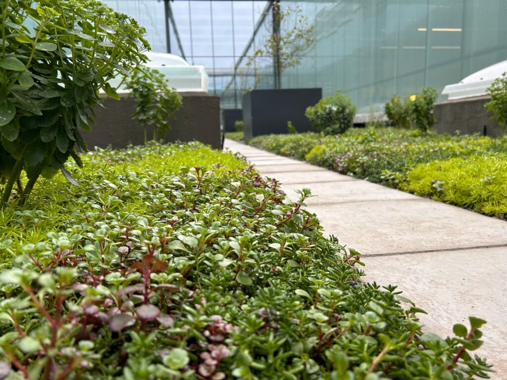 Cubiertas Inteligentes: Un aporte al medio ambiente y a la ciudad